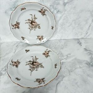JOHANN HAVILAND SEPIA ROSE BAVARIA GERMANY Two Salad or Dessert Plates. 1940s